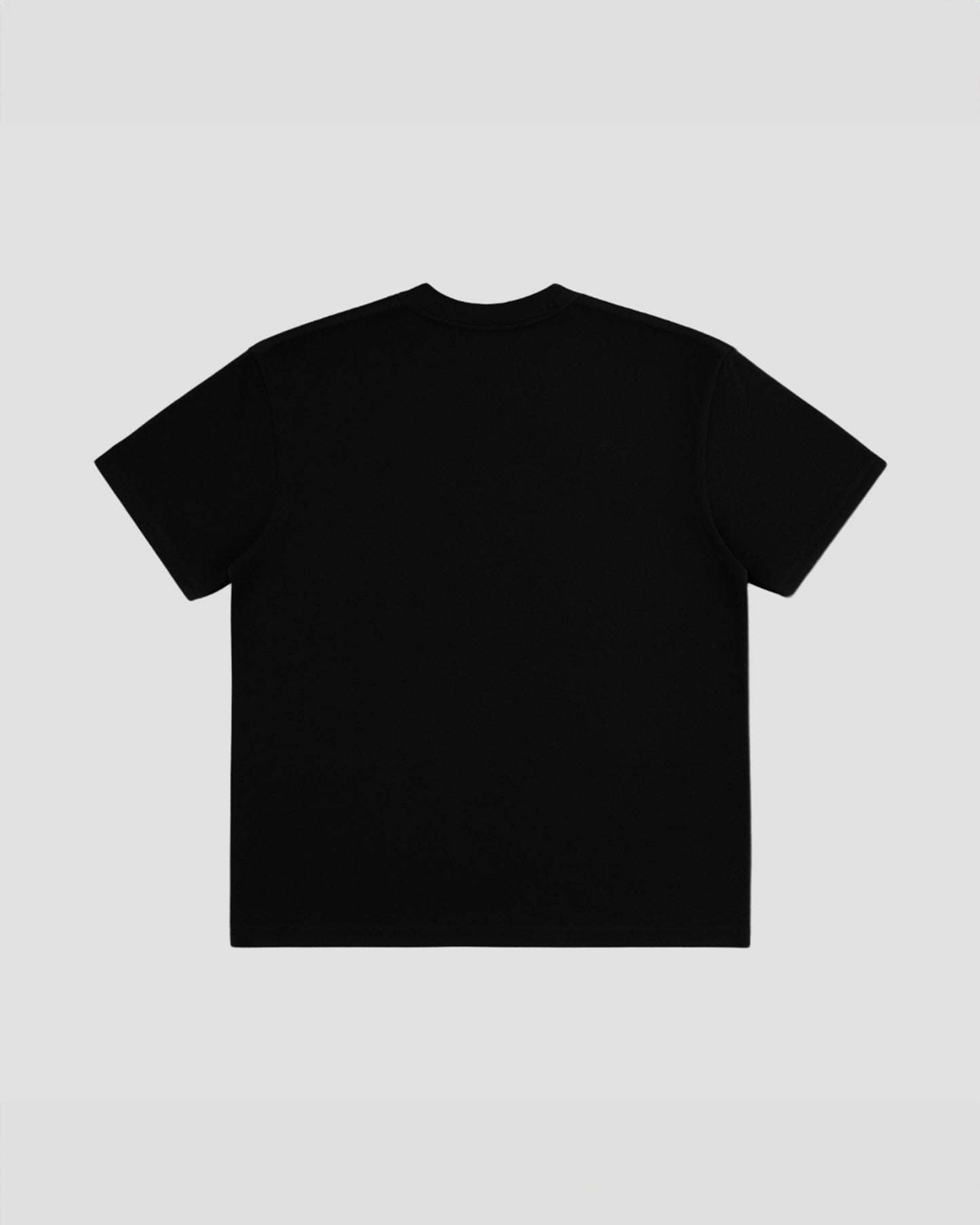 TAKE IT - T-Shirt Oversize (NFC)